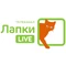Лапки Live