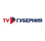 TV Губерния